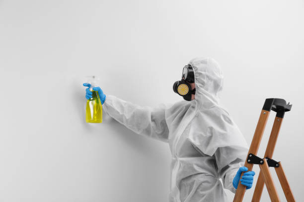  Laurie, MO Mold Removal Services Pros